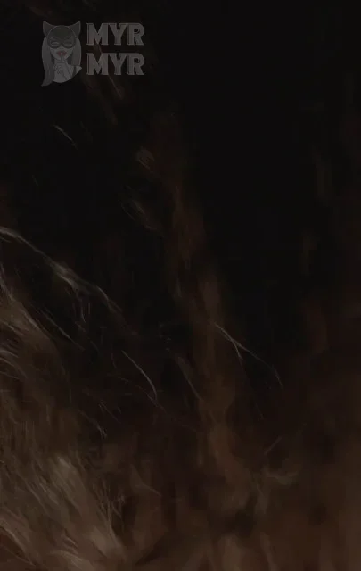 Николь, эротический массаж